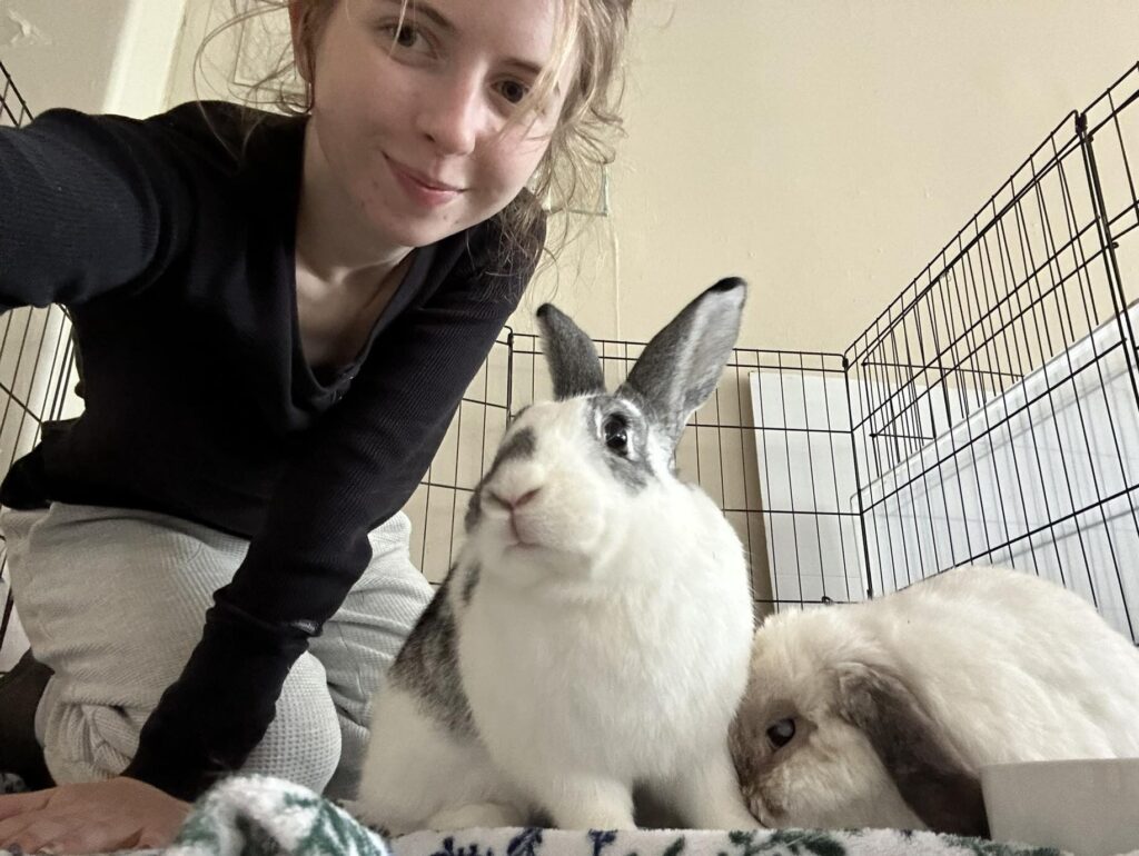eilan and bunnies