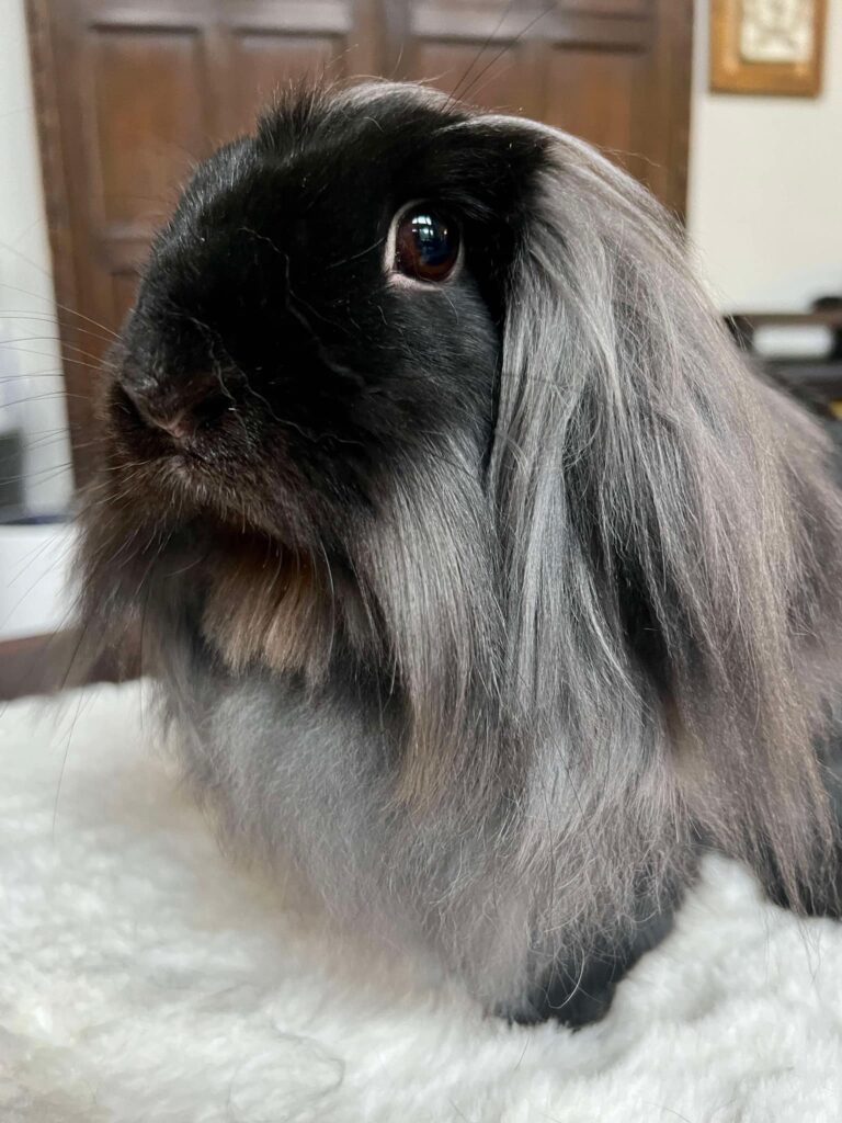 tater 2