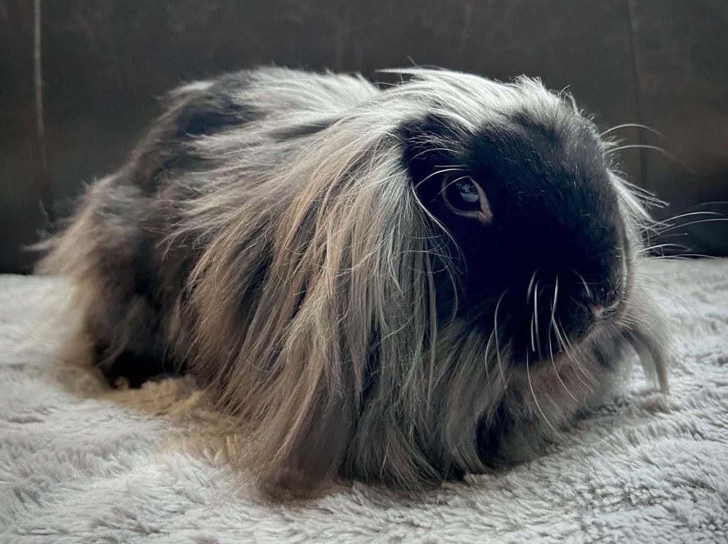 tater